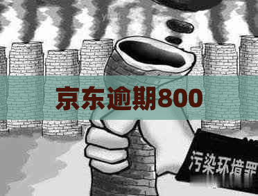 京东逾期800