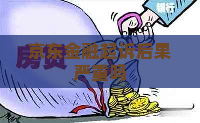 京东金融起诉后果严重吗