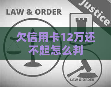 欠信用卡12万还不起怎么判