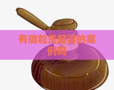 有微粒贷起诉的案例吗