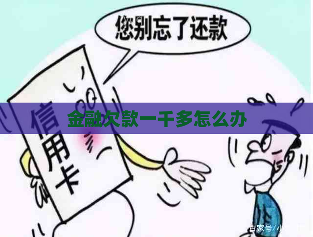 金融欠款一千多怎么办