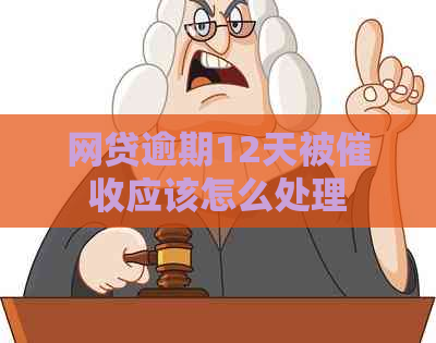 网贷逾期12天被应该怎么处理