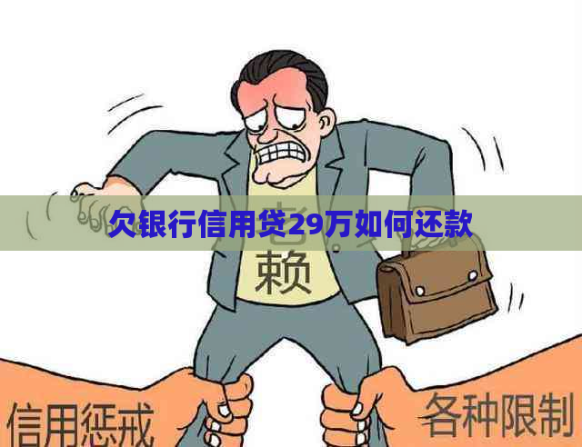 欠银行信用贷29万如何还款