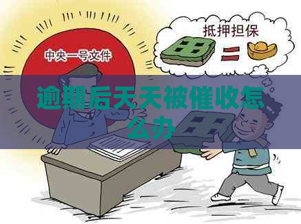 逾期后天天被怎么办