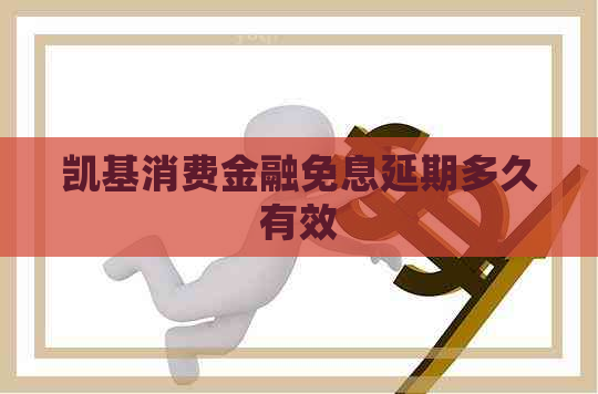 凯基消费金融免息延期多久有效