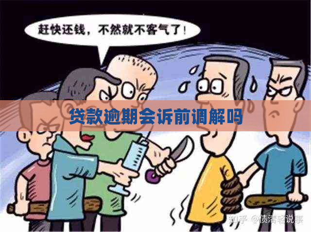 贷款逾期会诉前调解吗