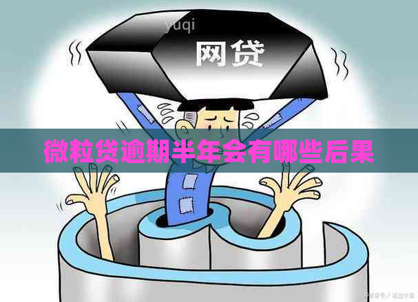 微粒贷逾期半年会有哪些后果