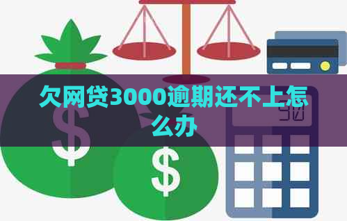 欠网贷3000逾期还不上怎么办