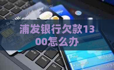 浦发银行欠款1300怎么办