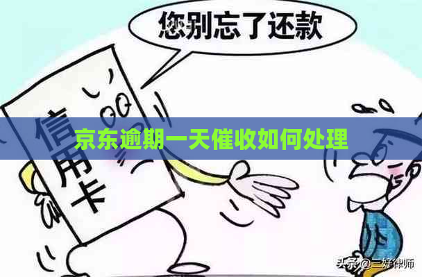 京东逾期一天如何处理