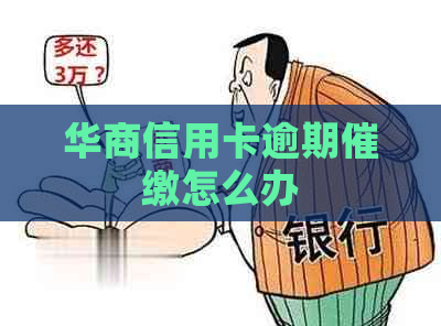 华商信用卡逾期催缴怎么办