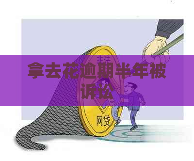 拿去花逾期半年被诉讼