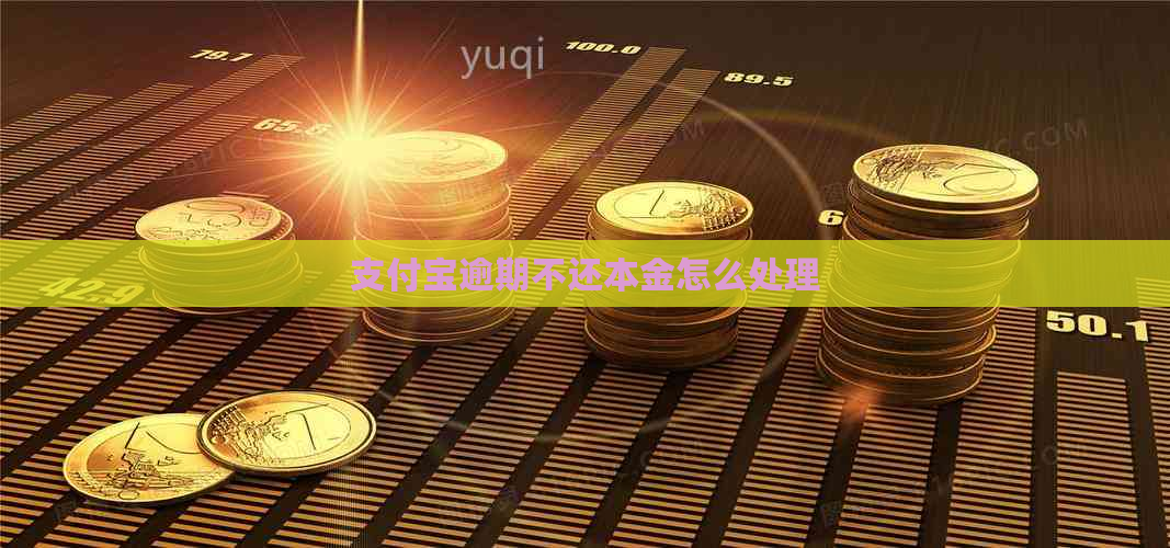 支付宝逾期不还本金怎么处理