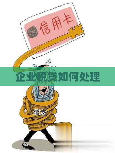 企业税贷如何处理