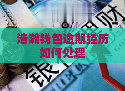 浩瀚钱包逾期经历如何处理