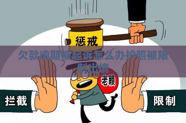 欠款逾期被起诉怎么办护照被限制出境