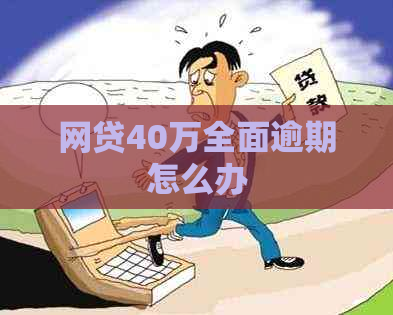 网贷40万全面逾期怎么办