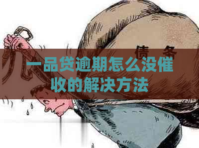 一品贷逾期怎么没的解决方法