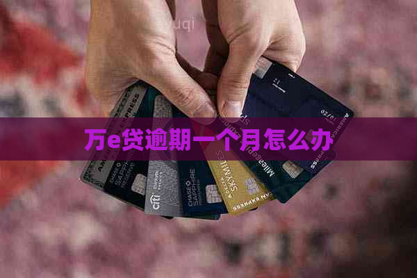 万e贷逾期一个月怎么办