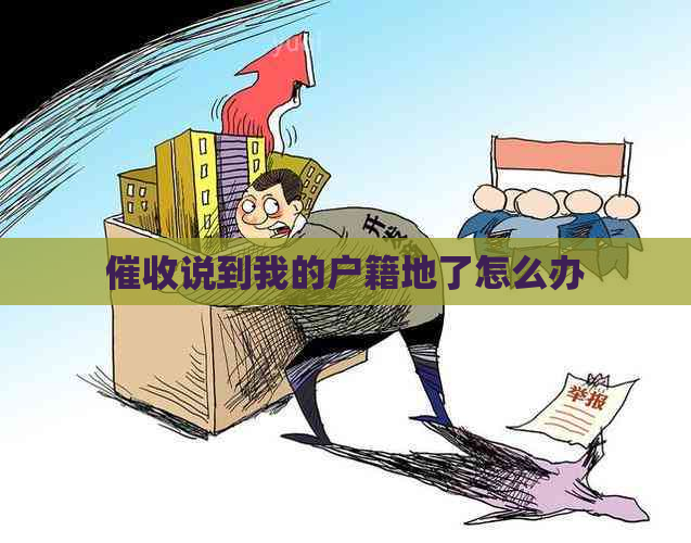 说到我的户籍地了怎么办