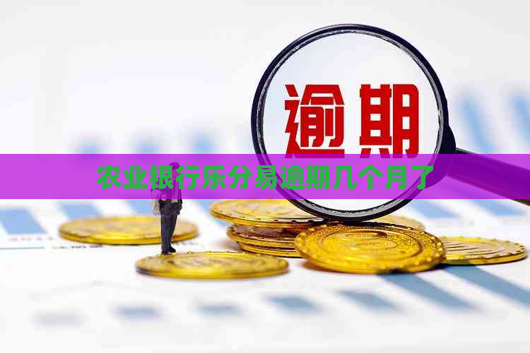 农业银行乐分易逾期几个月了