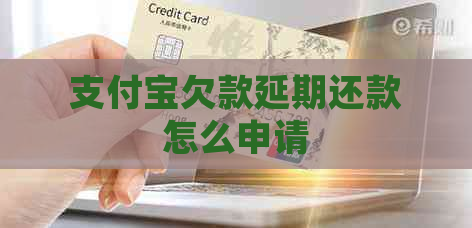 支付宝欠款延期还款怎么申请