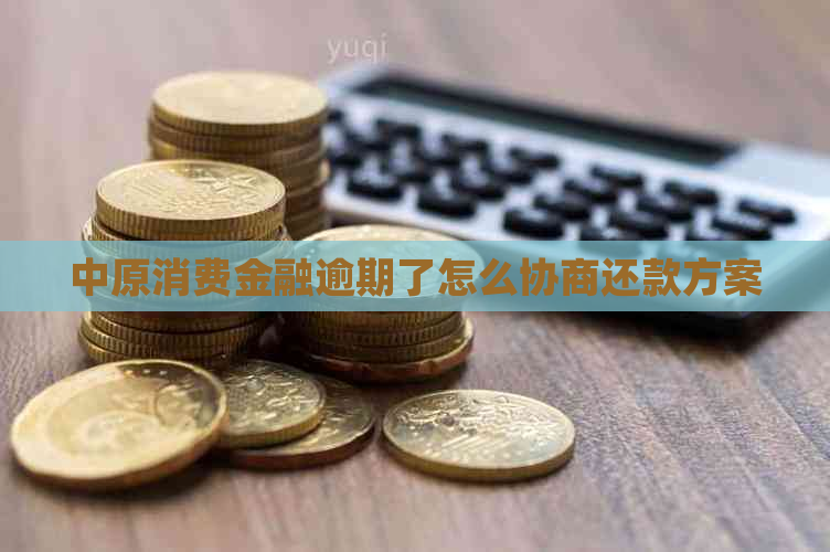 中原消费金融逾期了怎么协商还款方案