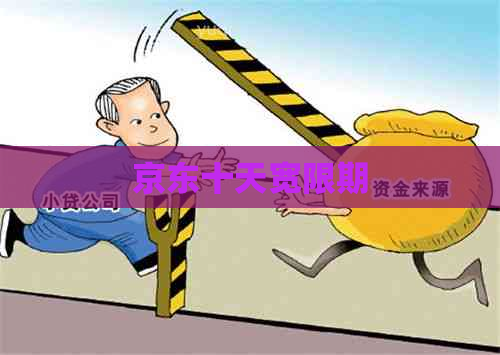 京东十天宽限期