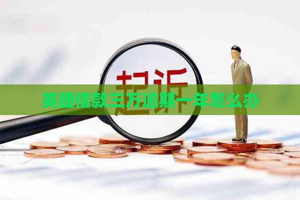 美团借款三万逾期一年怎么办