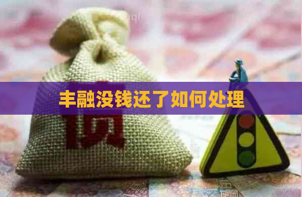 丰融没钱还了如何处理