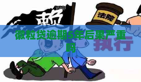 徽粒贷逾期5年后果严重吗