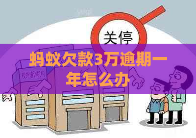 蚂蚁欠款3万逾期一年怎么办