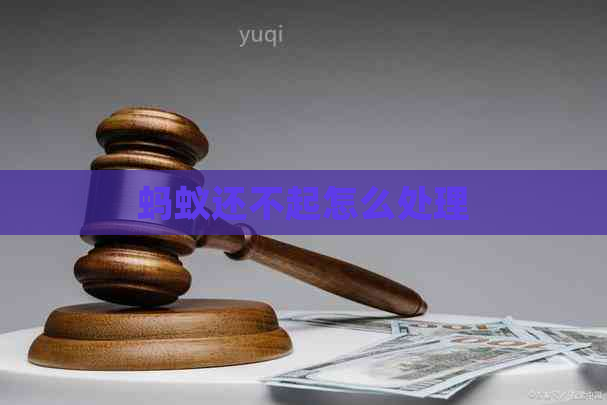 蚂蚁还不起怎么处理