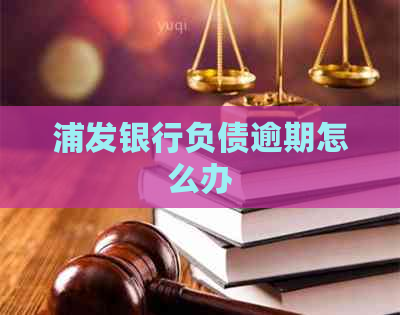 浦发银行负债逾期怎么办