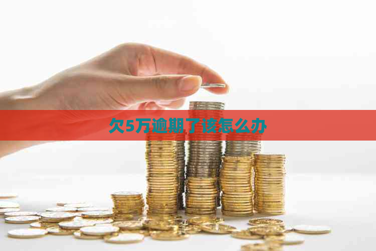 欠5万逾期了该怎么办