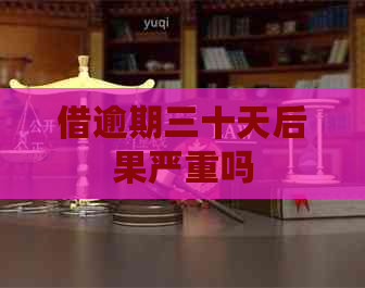 借逾期三十天后果严重吗