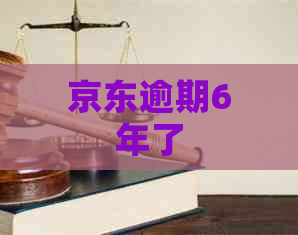 京东逾期6年了