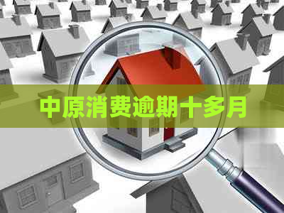 中原消费逾期十多月