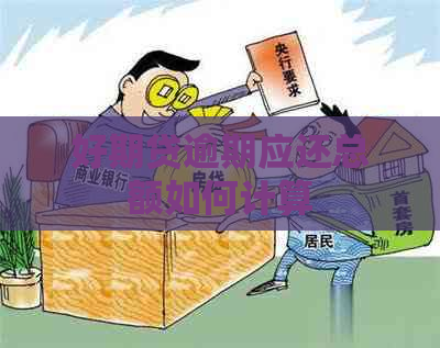 好期贷逾期应还总额如何计算