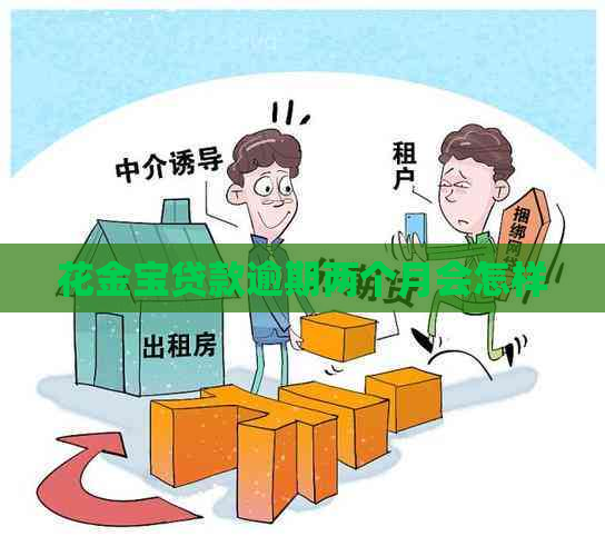 花金宝贷款逾期两个月会怎样