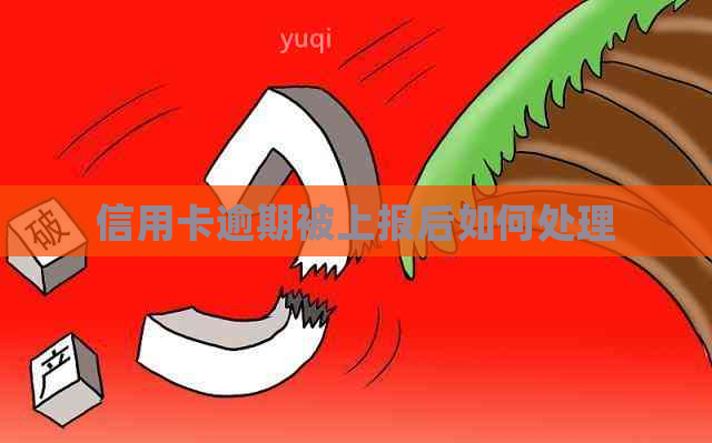 信用卡逾期被上报后如何处理