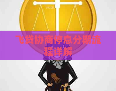 飞贷协商停息分期流程详解