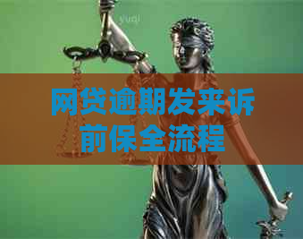 网贷逾期发来诉前保全流程