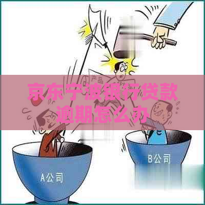京东宁波银行贷款逾期怎么办