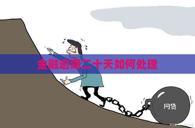 金融逾期二十天如何处理