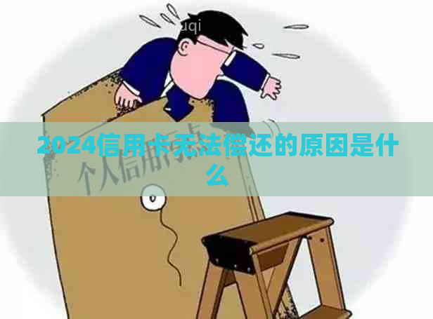 2024信用卡无法偿还的原因是什么