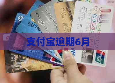 支付宝逾期6月