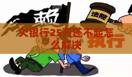 欠银行25万还不起怎么解决