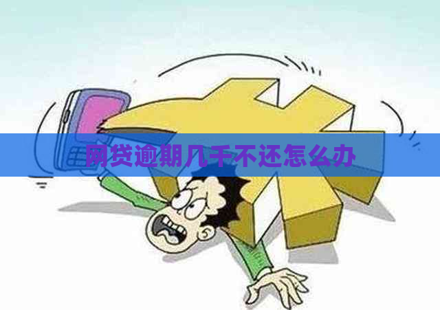 网贷逾期几千不还怎么办