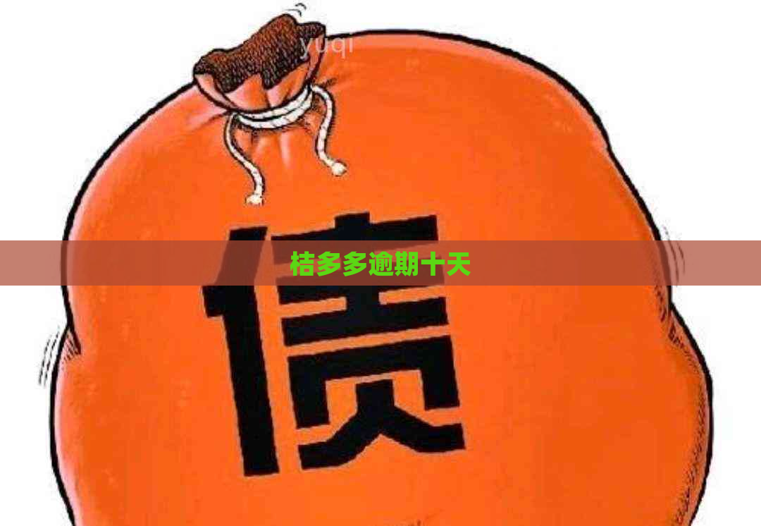 桔多多逾期十天